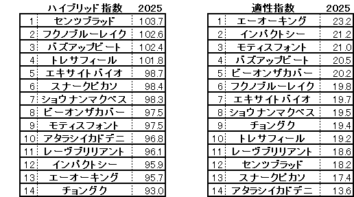 2025　ラジオNIKKEI賞　HB指数